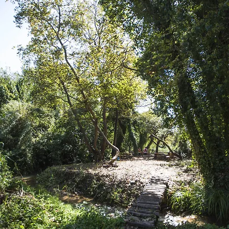 Resort The Westin Resort, Costa Navarino Romanos (Messenia)