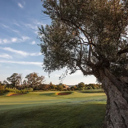 Resort The Westin Resort, Costa Navarino Romanos (Messenia)
